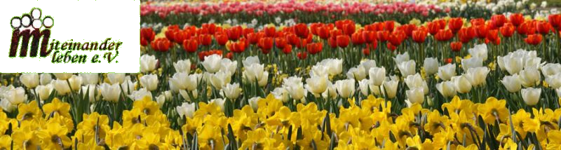 Header_4.png