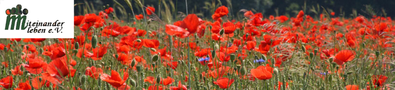 Titel-Mohn mit Logo_bearbeitet-1.png