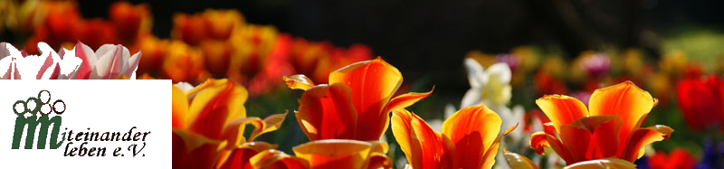Tulpen_2.png